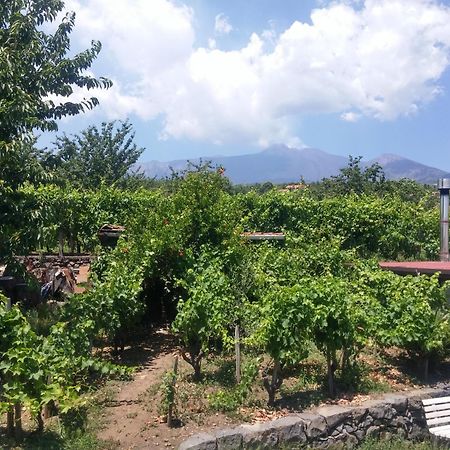 فيلا ميلوفي Sorbello Dell'Etna المظهر الخارجي الصورة