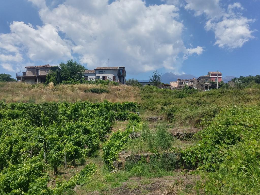 فيلا ميلوفي Sorbello Dell'Etna المظهر الخارجي الصورة