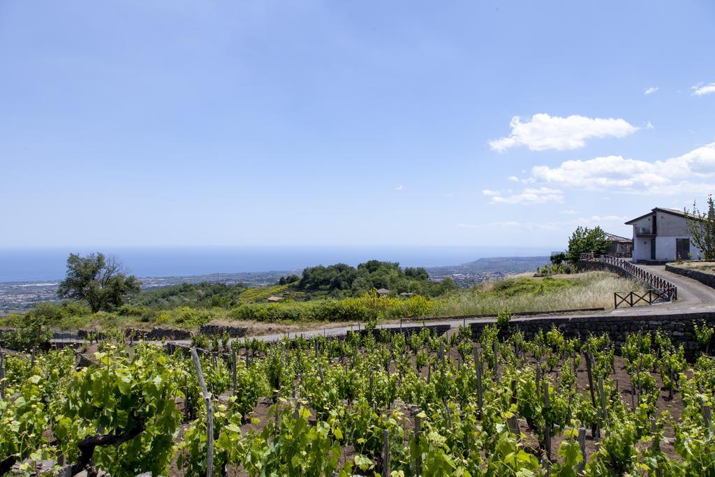 فيلا ميلوفي Sorbello Dell'Etna المظهر الخارجي الصورة